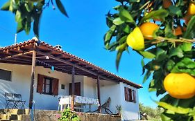 Anastasios House